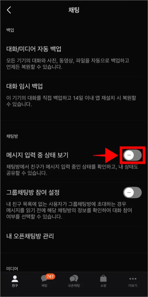 채팅 설정 중 '메시지 입력 중 상태 보기'의 기능이 비활성화된 모습